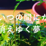 小学校卒業する息子へ3つの贈る言葉。中学生活を充実させるスピーチ。