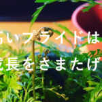 バカになれる人が、仕事ガンガンできる条件の理由。