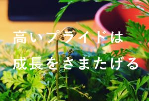 バカになれる人が、仕事ガンガンできる条件の理由。